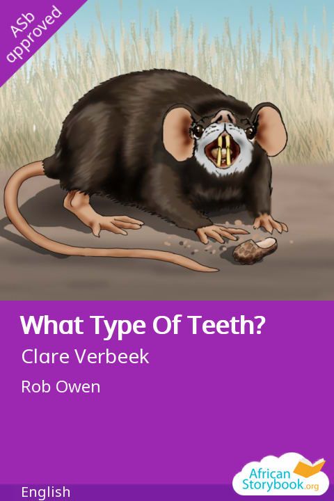 Cover of What Type Of Teeth?