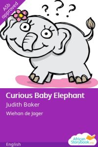Curious Baby Elephant