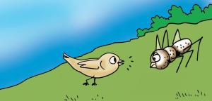 The Sparrow and The Fruit