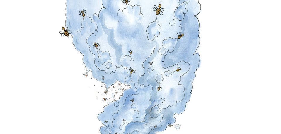 Cover of The Bees