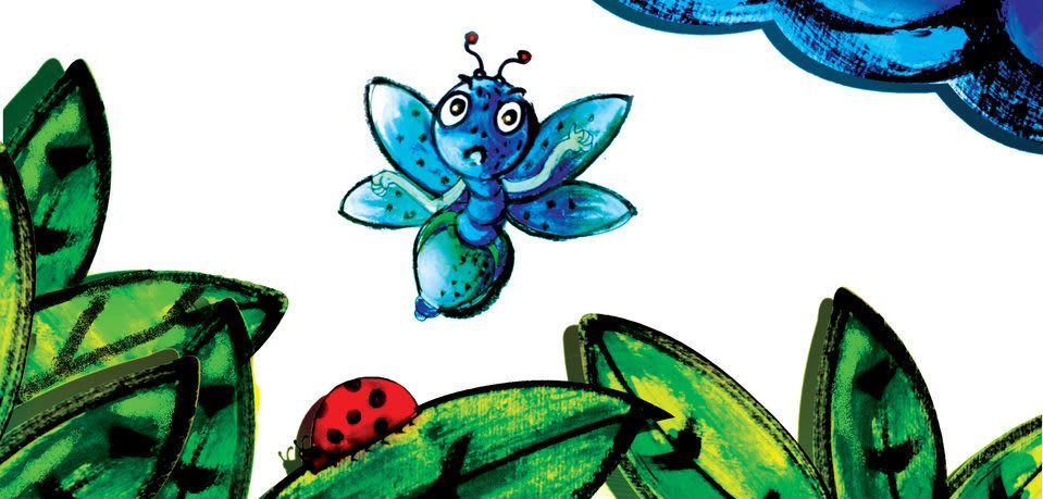 Cover of What Does The Firefly Have?