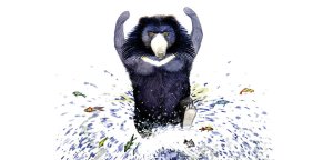 Bear Goes Fishing!