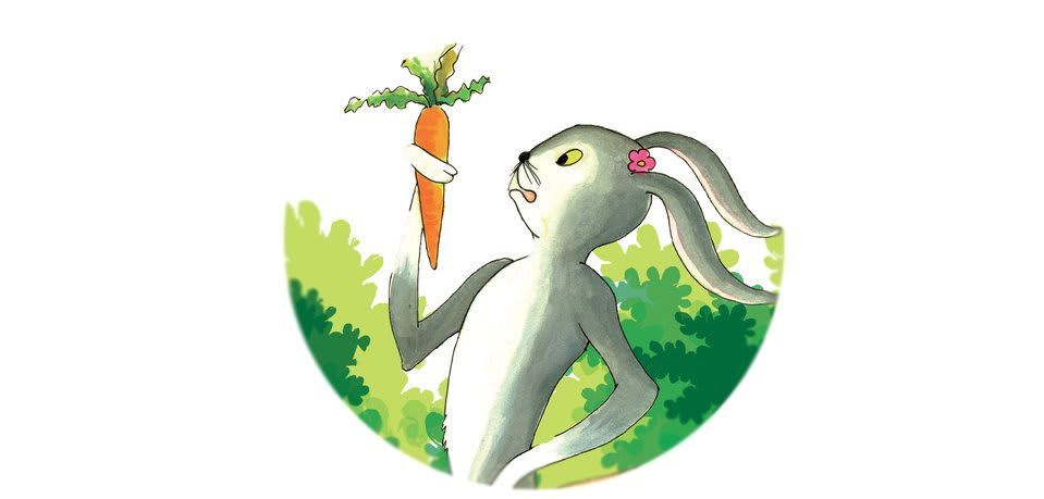 Cover of Rabbit Becomes a Chef