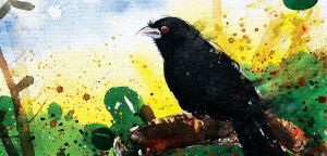 Cuckoo Wants To Sing