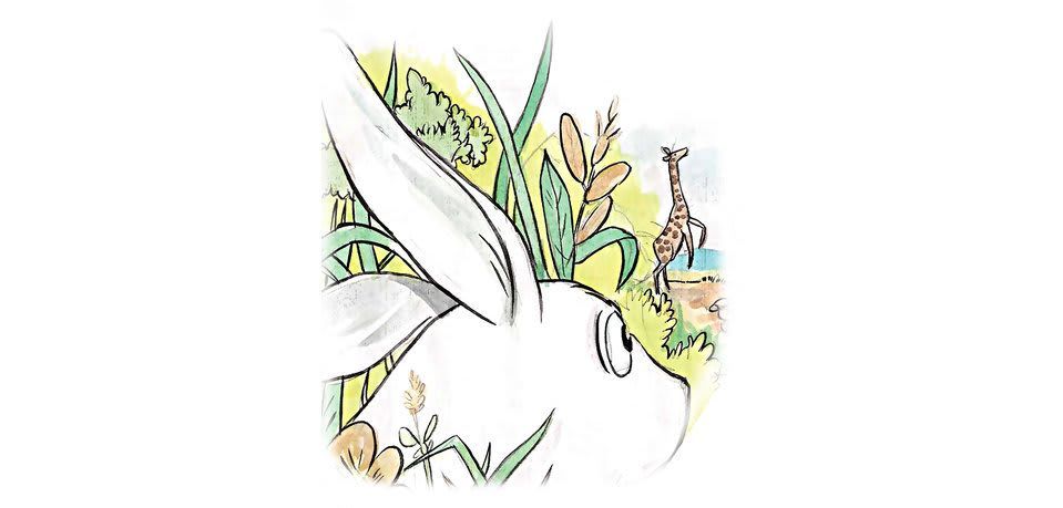 Cover of The Hare's Story