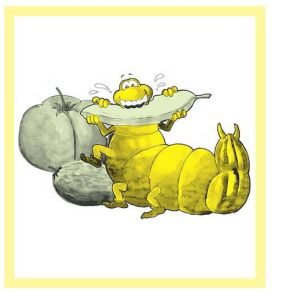 Caterpillar Lives in Our Garden