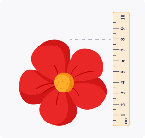 Units of length (cm, m)