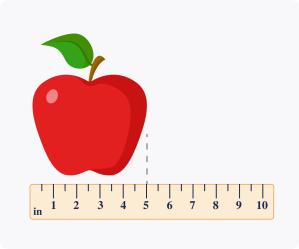 Units of length (inch, ft)