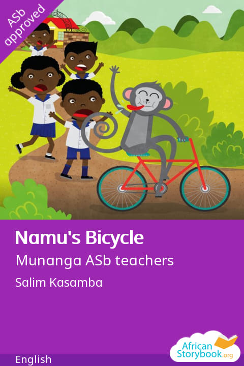 La Bicicleta de Namu cover
