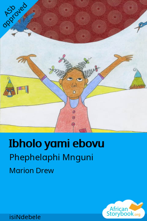Cover of Ibholo yami ebovu, a South Ndebele picture book