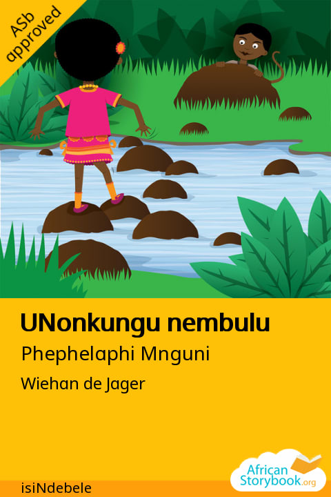 UNonkungu nembulu cover