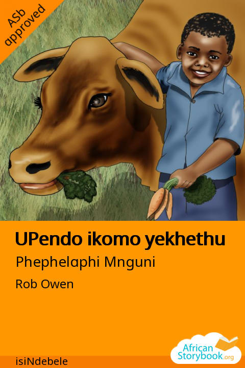 UPendo ikomo yekhethu cover