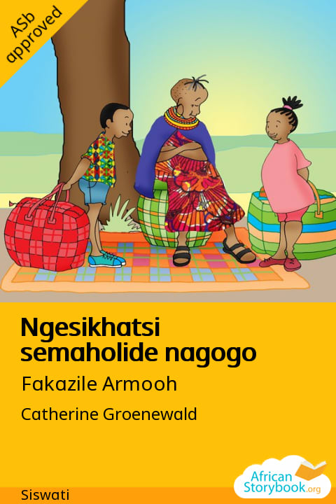 Ngesikhatsi semaholide nagogo cover