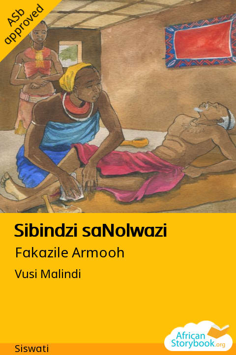 Sibindzi saNolwazi cover