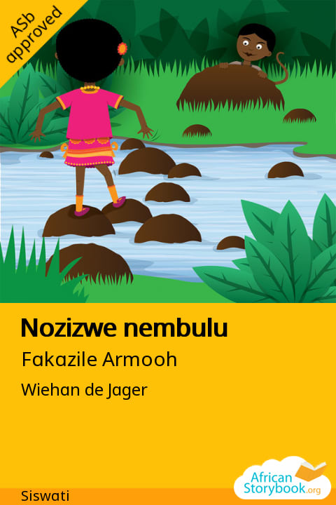 Nozizwe nembulu cover
