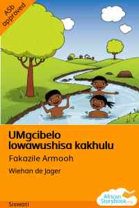 Illustration for UMgcibelo lowawushisa kakhulu