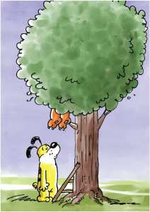 បងឆ្មា និង​បងឆ្កែ៖ បាត់បងឆ្មាទៅណាហើយ