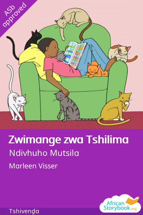 Zwimange zwa Tshilima cover