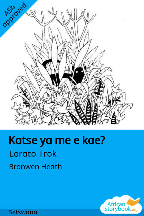 Katse ya me e kae? cover