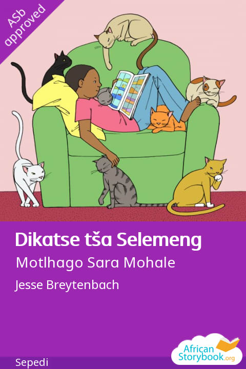 Dikatse tša Selemeng cover