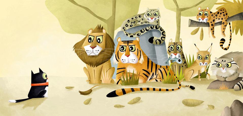 Gato selvagem! Gato selvagem! cover