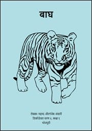 Illustration for बाघ