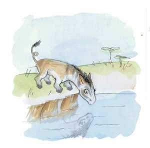 म जस्तो काेही छ ?