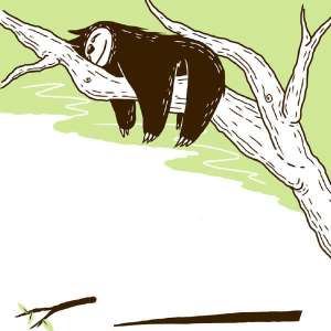 निदाउने मिस्टर स्लोथ