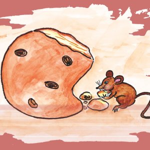 आशेचो हुंदीर