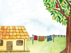 आंब्याचें झाड