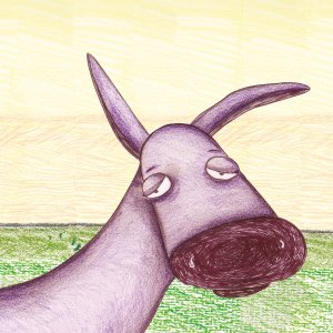 भिमा- न्हिदसुरो