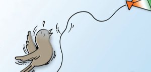 तांबडो पतंग​