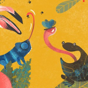 तुमची जीब भायर काडात