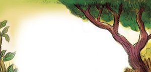 रडपी झाड