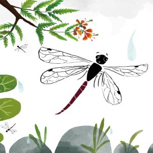 द्रुवीची सत्री