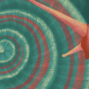 जनावरांचीं घरां