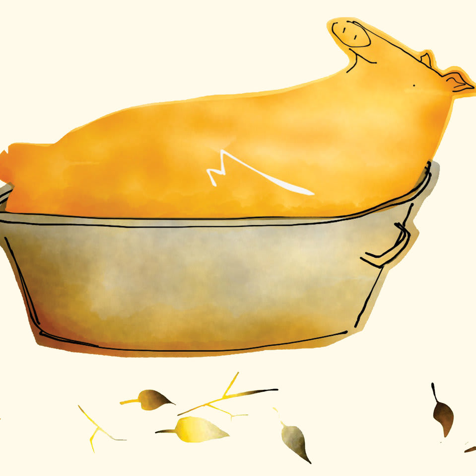 Cover of Nkhumba yochenjera, a Nyanja picture book