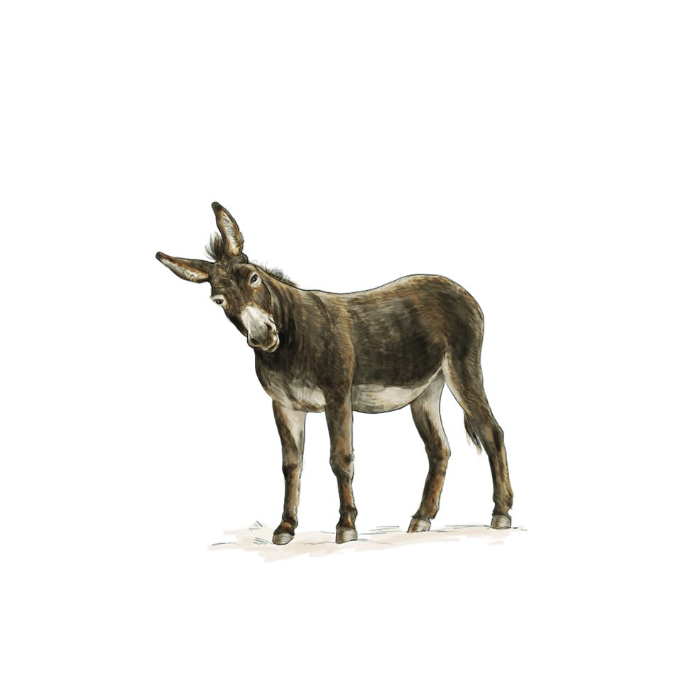 Cover of Bulu, a Nyanja picture book