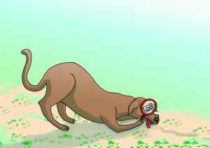 ພວກເຂົາພາກັນໄປທົ່ງນາ