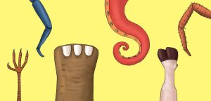 Keling oyoqlarni sanaymiz