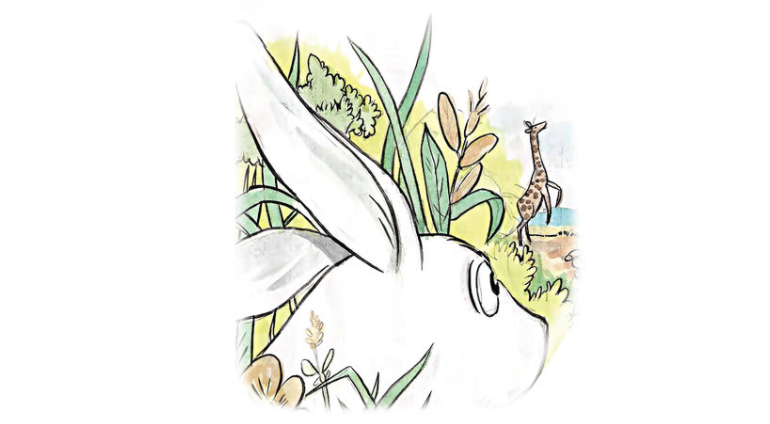 Cover of История зайца, a Russian picture book