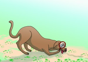 Các Bạn Ấy Ra Cánh Đồng