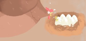 Gà mẹ bận rộn