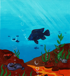 ສັດນໍ້າທີ່ສວຍງາມ