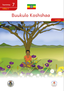 Illustration for Buukulo Koshshaa