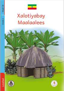 Illustration for Xalotiyabay Maalaalees