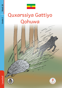 Illustration for Quxarssiya Gattiyo Qohuwa