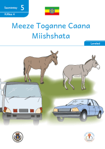 Illustration for Meeze Toganne Caana Miishshata
