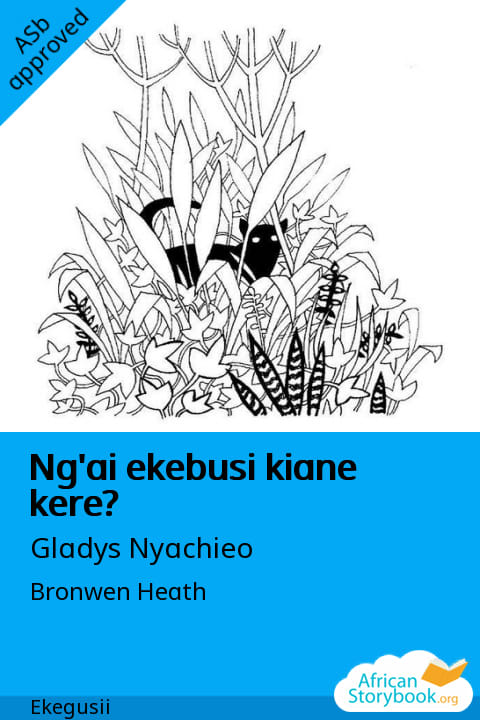 Cover of Ng'ai ekebusi kiane kere?, a Gusii picture book