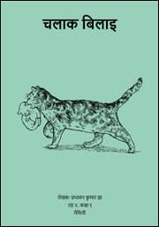 चलाक बिलाइ